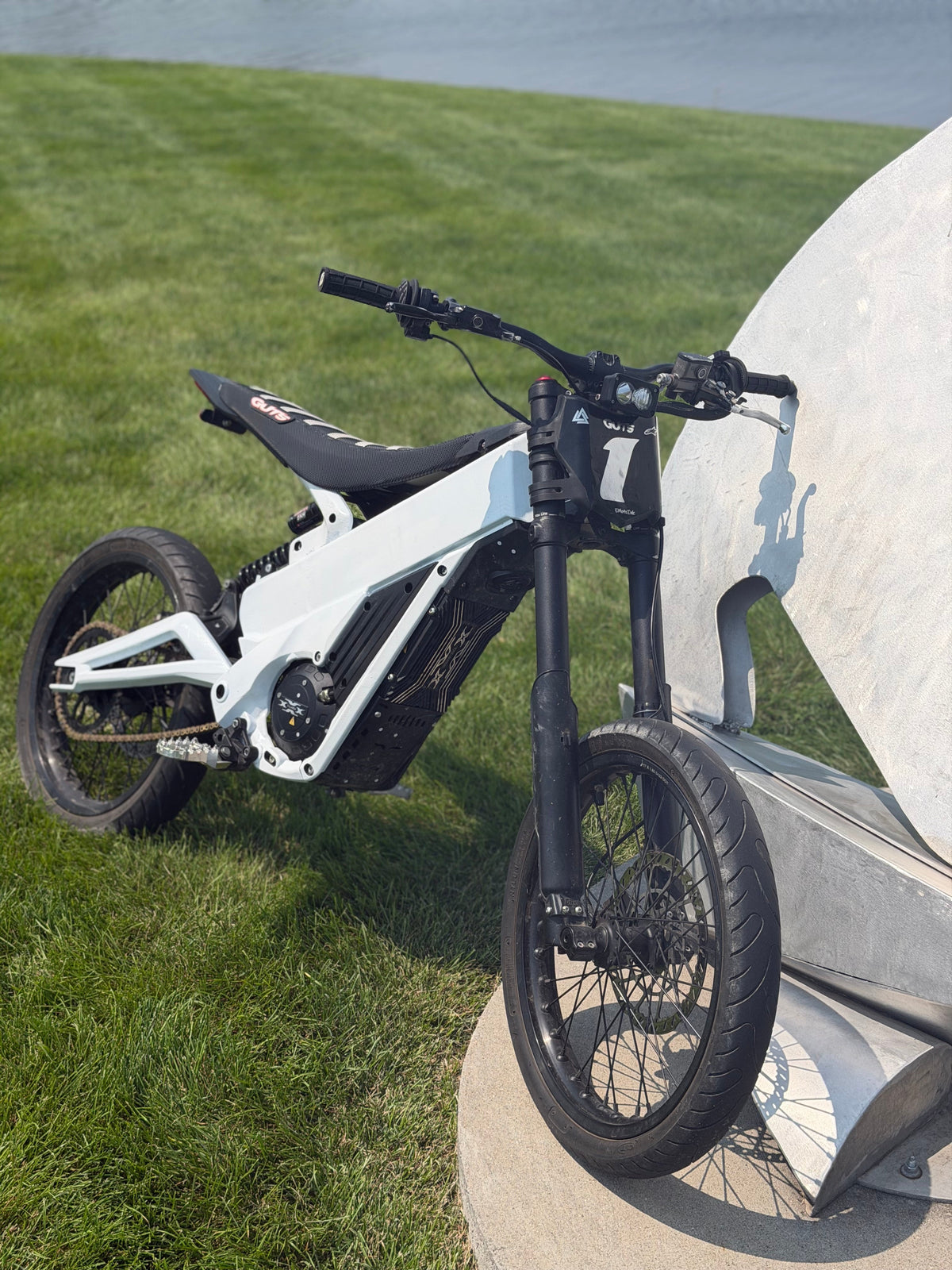Talaria XXX Painted Frame Guards product detail photo 2